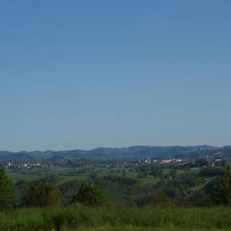 In Near Slopes, Cleaning Included